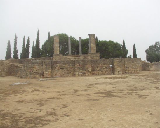 Forum