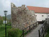 Favianis